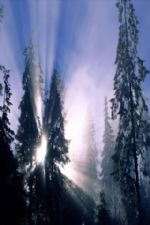 Click To View This Image