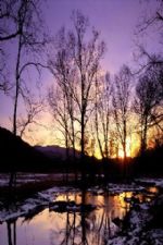 Click To View This Image