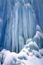 Click To View This Image