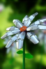 Click To View This Image