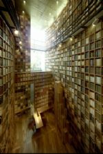 Click To View This Image