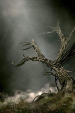 Click To View This Image