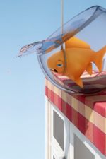 Click To View This Image