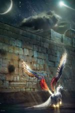 Click To View This Image