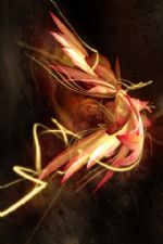 Click To View This Image