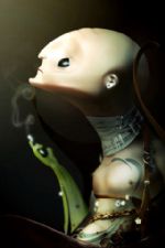 Click To View This Image