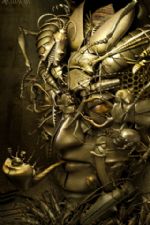 Click To View This Image