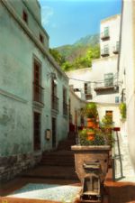 Click To View This Image