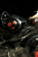 Click To View This Image