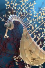 Click To View This Image