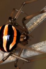 Click To View This Image