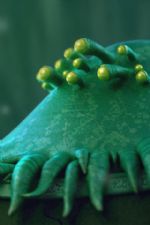 Click To View This Image