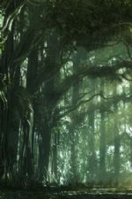 Click To View This Image