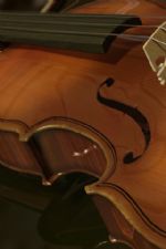 Click To View This Image