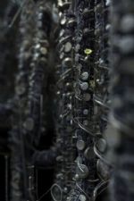 Click To View This Image