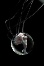 Click To View This Image