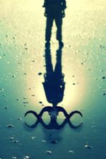 Click To View This Image