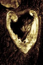 Click To View This Image