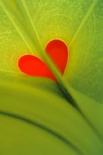 Click To View This Image