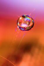 Click To View This Image