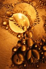 Click To View This Image