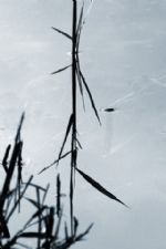 Click To View This Image