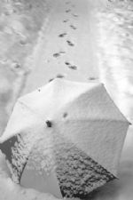 Click To View This Image