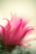 Click To View This Image