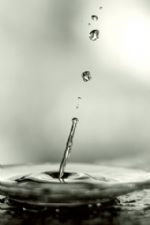 Click To View This Image