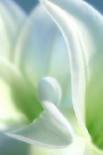 Click To View This Image