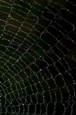 Click To View This Image