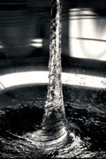 Click To View This Image