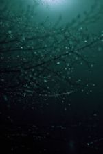 Click To View This Image