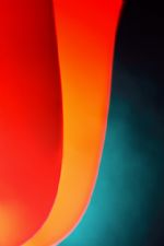 Click To View This Image