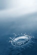 Click To View This Image