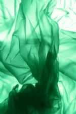 Click To View This Image