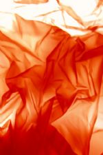 Click To View This Image