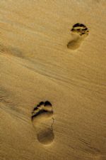 Click To View This Image