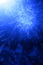 Click To View This Image