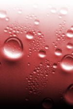 Click To View This Image