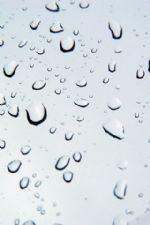 Click To View This Image