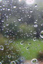 Click To View This Image