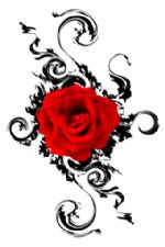 Click To View This Image