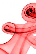 Click To View This Image