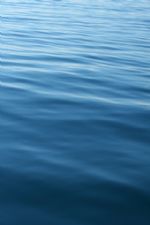 Click To View This Image