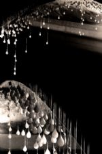 Click To View This Image