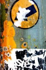 Click To View This Image