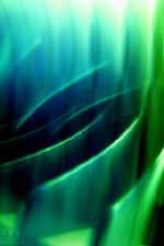 Click To View This Image