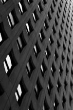 Click To View This Image