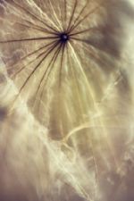 Click To View This Image